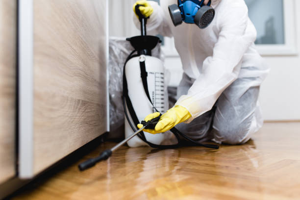Best Pest Control Near Me  in Driggs, ID