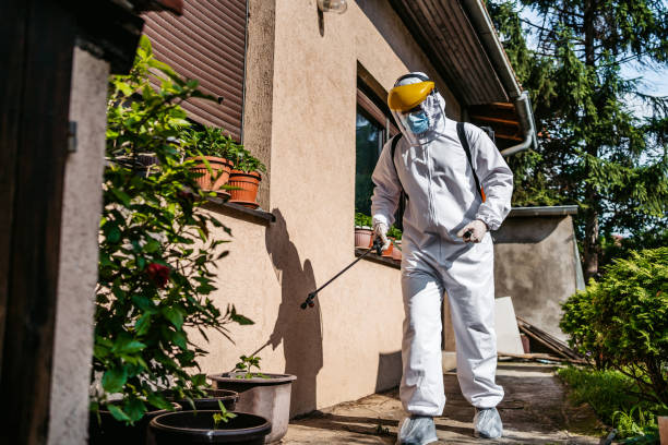 Best Exterminator Services  in Driggs, ID