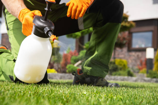 Best Affordable Pest Control Services  in Driggs, ID