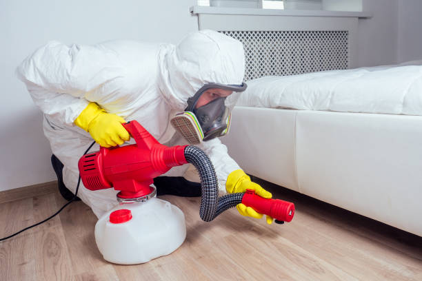 Best Pest Removal Services  in Driggs, ID