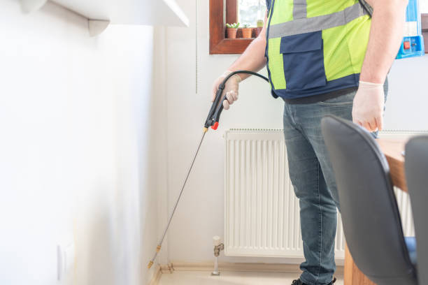 Best Emergency Pest Control  in Driggs, ID