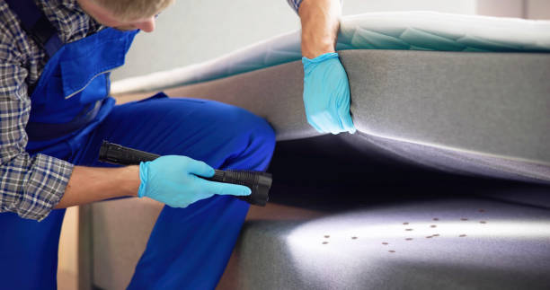 Best Wasp Removal Services  in Driggs, ID