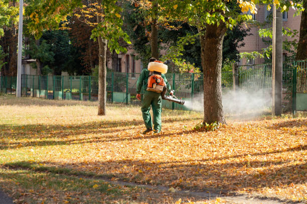Best Pest Prevention Services  in Driggs, ID