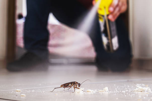Best Best Pest Control Companies  in Driggs, ID