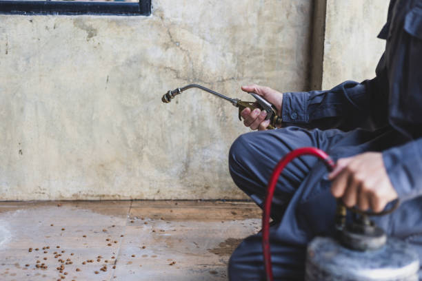 Best Pest Inspection Near Me  in Driggs, ID