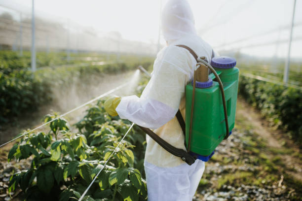 Pest Control Cost in Driggs, ID